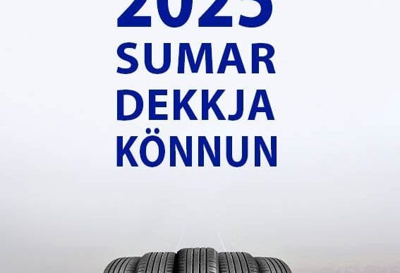 Sumardekkjakönnun 2025 aðgengileg félagsmönnum á heimasíðu FÍB